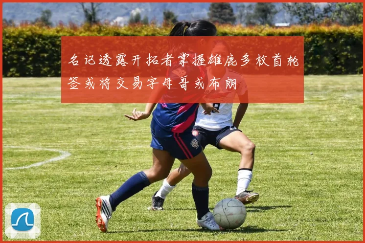 名记透露开拓者掌握雄鹿多枚首轮签或将交易字母哥或布朗